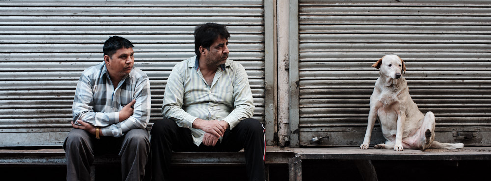 Two Men and a Dog, Jawahar Singh Market, Old Delhi