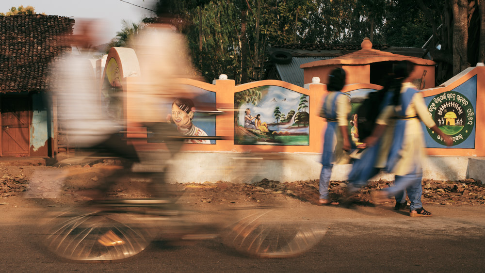 Paintings depicting the lives of local tribes, including the Kui, Odisha, India