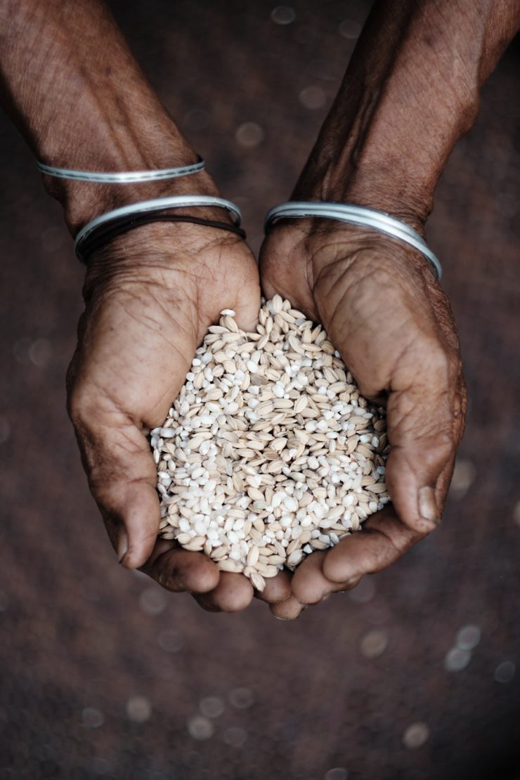 Hands Holding Rice, Myanmar