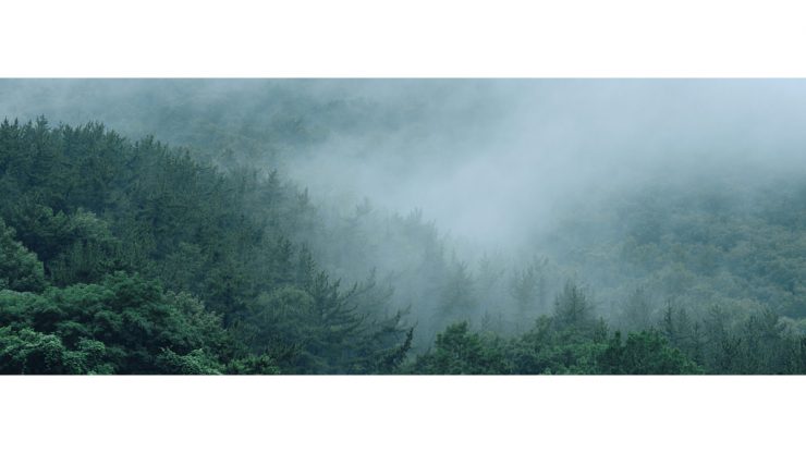 Changwon Mountains in Mist