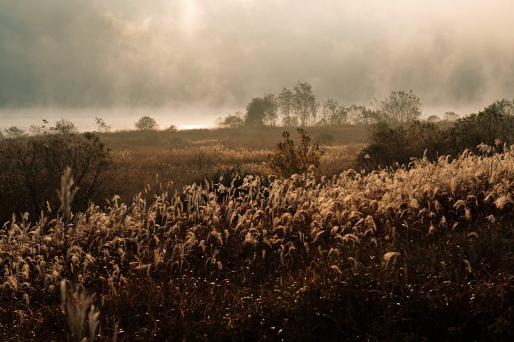 Autumn Fog on Nakdong River